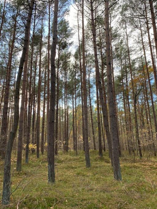 Ferienwohnung Fuer Naturliebhaber Пенемюнде Екстериор снимка